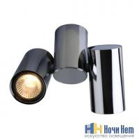 Светильник накладной Divinare Gavroche 1354/02 PL-2, раздел каталога Накладные точечные светильники интернет-магазина Ночи Нет