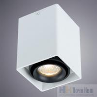 Светильник накладной Arte Lamp Pictor A5655PL-1WH, раздел каталога Накладные точечные светильники интернет-магазина Ночи Нет