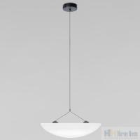 Светильник подвесной LOFT IT Tense 10347/S, раздел каталога Подвесы 1 лампа интернет-магазина Ночи Нет