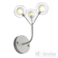 Бра St.Luce Demele SL376.501.03, раздел каталога Бра с плафоном интернет-магазина Ночи Нет