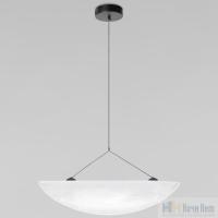Светильник подвесной LOFT IT Tense 10347/L, раздел каталога Подвесы 1 лампа интернет-магазина Ночи Нет
