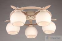 Люстра потолочная Omnilux Fronteira OML-50517-05, раздел каталога Люстры с плафонами интернет-магазина Ночи Нет