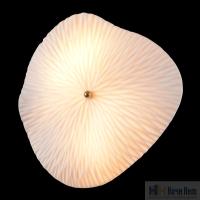 Бра Crystal Lux CONTESSA AP2.2 1434/403, раздел каталога Бра с плафоном интернет-магазина Ночи Нет