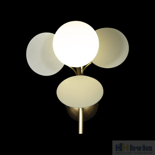 Бра Loft IT Matisse 10008/1W Grey, раздел каталога Бра с плафоном интернет-магазина Ночи Нет