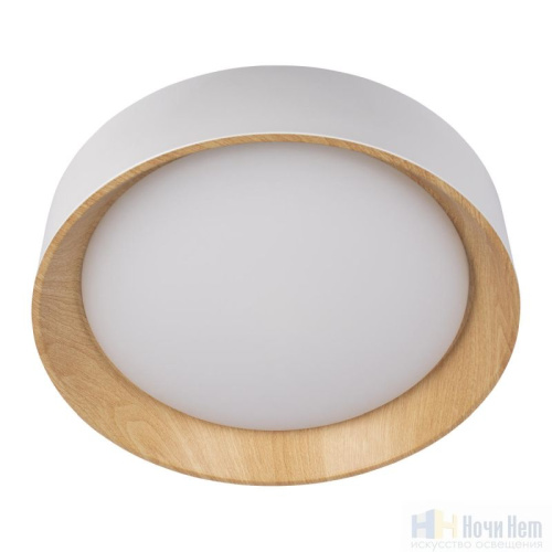 Светильник потолочный Loft IT Coin 10202 White, раздел каталога Круглые современные светильники интернет-магазина Ночи Нет