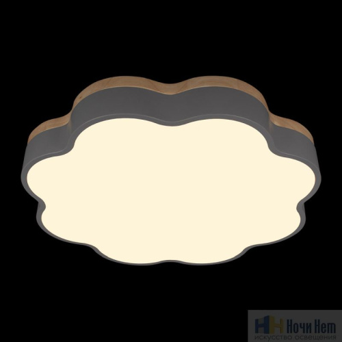 Светильник Loft IT Axel 10225/36 Grey, раздел каталога Детские светильники интернет-магазина Ночи Нет