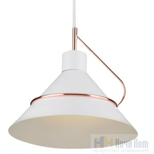 Светильник подвесной Freya Amis FR5025PL-01W, раздел каталога Подвесы 1 лампа интернет-магазина Ночи Нет