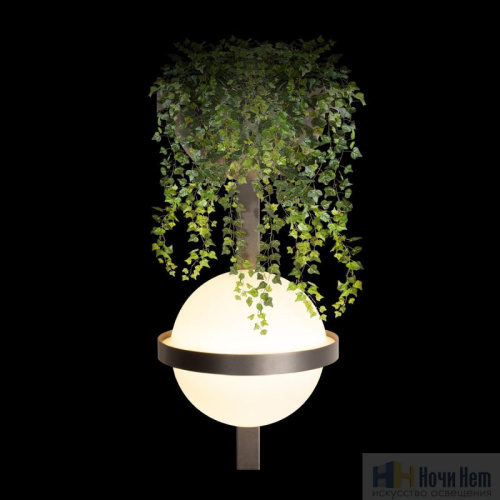 Бра Loft IT Jardin 10121W/B Dark grey, раздел каталога Светодиодные бра интернет-магазина Ночи Нет