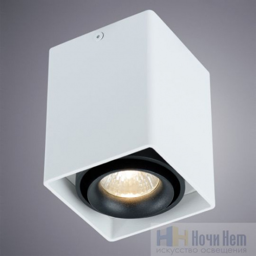 Светильник накладной Arte Lamp Pictor A5655PL-1WH, раздел каталога Накладные точечные светильники интернет-магазина Ночи Нет