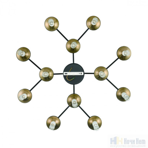 Люстра Lumion Tamaresa 8112/24, раздел каталога Люстры с плафонами интернет-магазина Ночи Нет