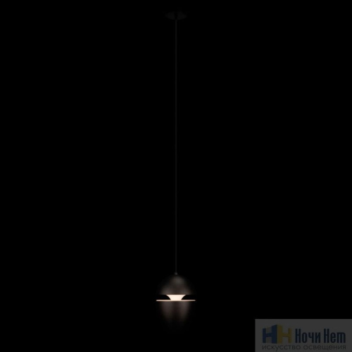 Светильник подвесной LOFT IT Viterbo 10336 Black, раздел каталога Подвесы 1 лампа интернет-магазина Ночи Нет
