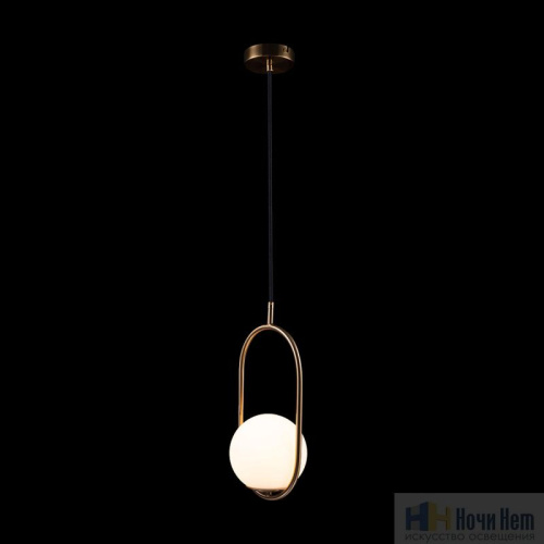 Светильник подвесной Loft IT Glob LOFT2595-A, раздел каталога Подвесы 1 лампа интернет-магазина Ночи Нет