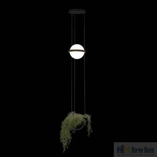 Светильник подвесной Loft IT Jardin 10121/B, раздел каталога Подвесы 1 лампа интернет-магазина Ночи Нет