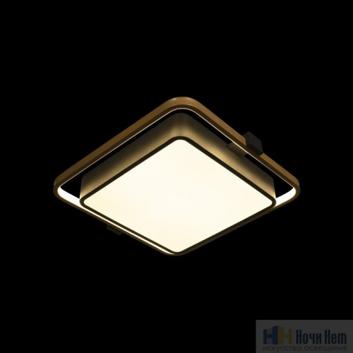 Светильник потолочный LOFT IT Mike 10171, раздел каталога Прямоугольные светильники интернет-магазина Ночи Нет