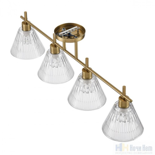 Люстра Lumion Vivian 8188/4C, раздел каталога Люстры с плафонами интернет-магазина Ночи Нет