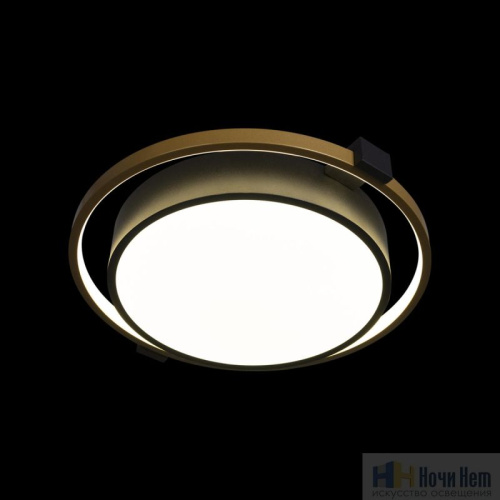 Светильник потолочный LOFT IT Mike 10169, раздел каталога Круглые современные светильники интернет-магазина Ночи Нет