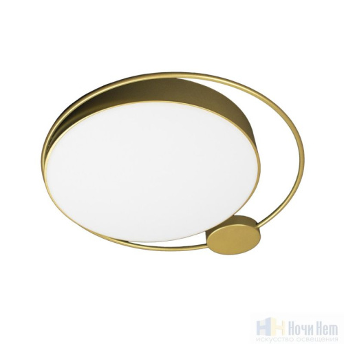 Светильник потолочный LOFT IT Mike 10063, раздел каталога Круглые современные светильники интернет-магазина Ночи Нет