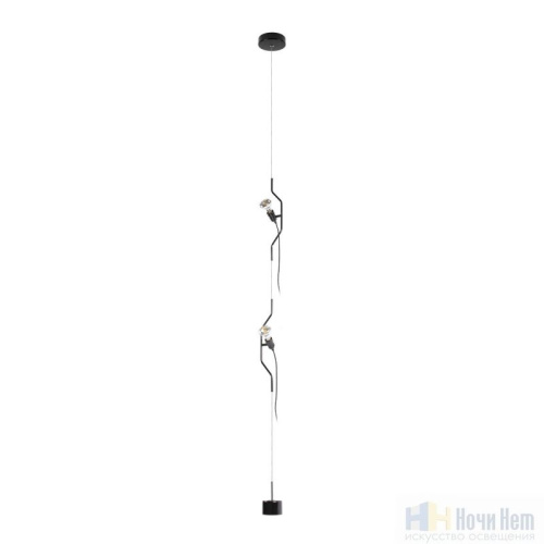 Светильник подвесной LOFT IT Parentesi 10346/2 Black, раздел каталога Подвесы 1 лампа интернет-магазина Ночи Нет