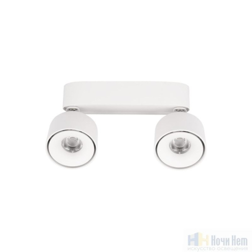 Светильник накладной LOFT IT Focus 10323/2A White, раздел каталога Накладные точечные светильники интернет-магазина Ночи Нет