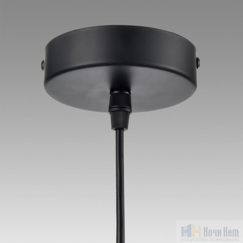 Светильник подвесной Lumion Launa 8043/1, раздел каталога Подвесы 1 лампа интернет-магазина Ночи Нет