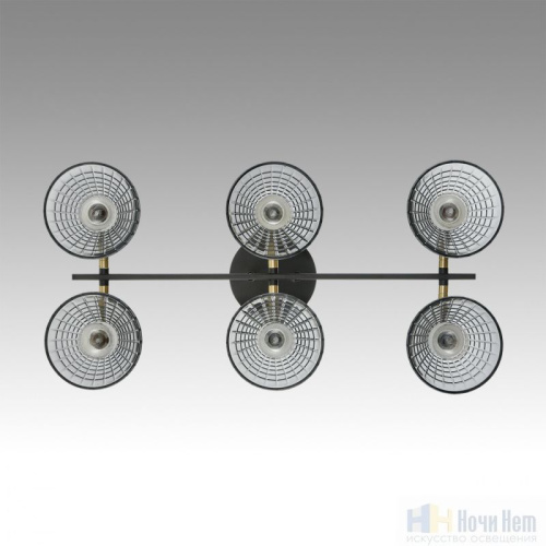 Люстра Lumion Anriya 8044/6C, раздел каталога Люстры с плафонами интернет-магазина Ночи Нет