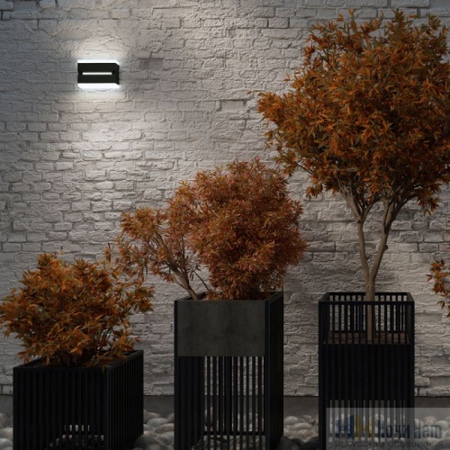 Светильник уличный Novotech Strait 359196, раздел каталога Настенные уличные светильники интернет-магазина Ночи Нет