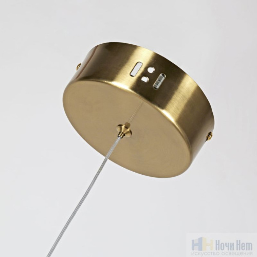 Светильник подвесной Favourite Conceptus 2642-1P, раздел каталога Подвесы 1 лампа интернет-магазина Ночи Нет