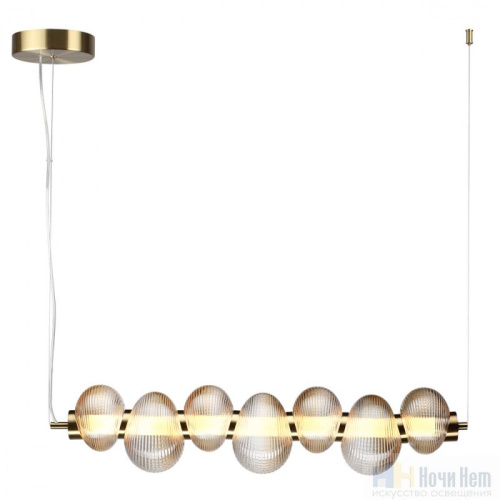 Светильник подвесной Odeon Light Bruco 5095/24L, раздел каталога Подвесы 1 лампа интернет-магазина Ночи Нет
