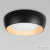 10255/500 Black Потолочный светильник LOFT IT Folk, раздел каталога Круглые современные светильники интернет-магазина Ночи Нет