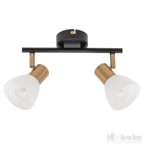 Спот Arte Lamp Falena A3117PL-2BK, раздел каталога Споты интернет-магазина Ночи Нет