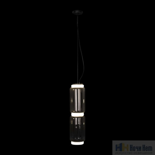 Светильник подвесной Loft IT Noctambule 10194/M, раздел каталога Подвесы 2-3 лампы интернет-магазина Ночи Нет