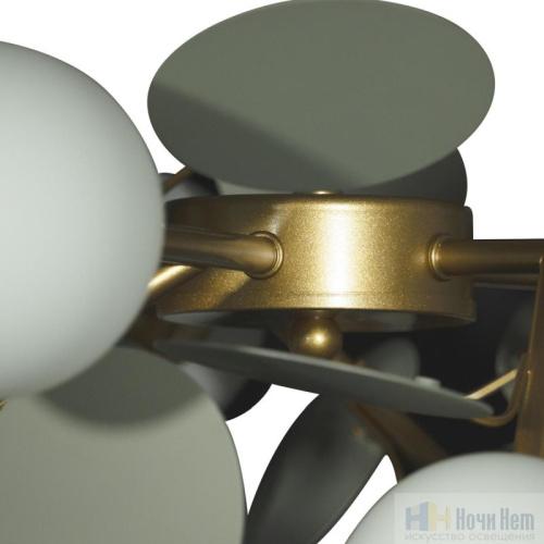 Люстра Loft IT Matisse 10008/10 Grey, раздел каталога Люстры с плафонами интернет-магазина Ночи Нет