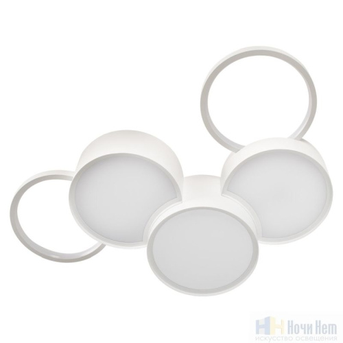 Люстра Loft IT Pin 10317/5 White, раздел каталога Светодиодные люстры интернет-магазина Ночи Нет