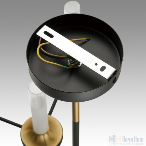 Люстра Lumion Tamaresa 8112/18, раздел каталога Люстры с плафонами интернет-магазина Ночи Нет