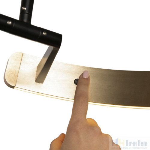 Торшер LOFT IT Ring 10027, раздел каталога Светодиодные торшеры интернет-магазина Ночи Нет