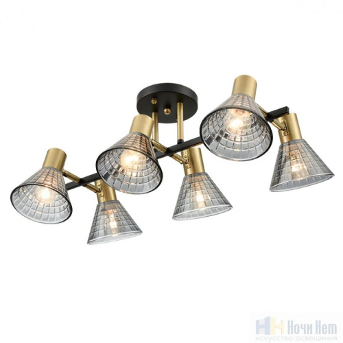 Люстра Lumion Anriya 8044/6C, раздел каталога Люстры с плафонами интернет-магазина Ночи Нет