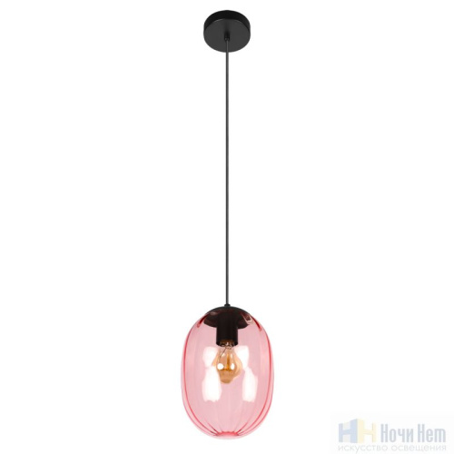 Светильник подвесной LOFT IT Bubble 10427 Purple, раздел каталога Подвесы 1 лампа интернет-магазина Ночи Нет