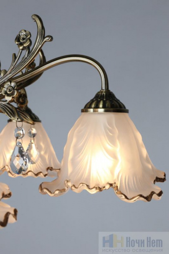 Люстра Omnilux Petrara OML-54807-05, раздел каталога Люстры с плафонами интернет-магазина Ночи Нет