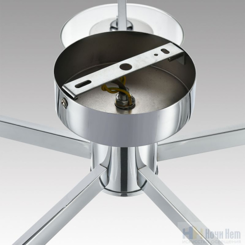 Люстра Lumion Verdi 8261/5C, раздел каталога Люстры с плафонами интернет-магазина Ночи Нет