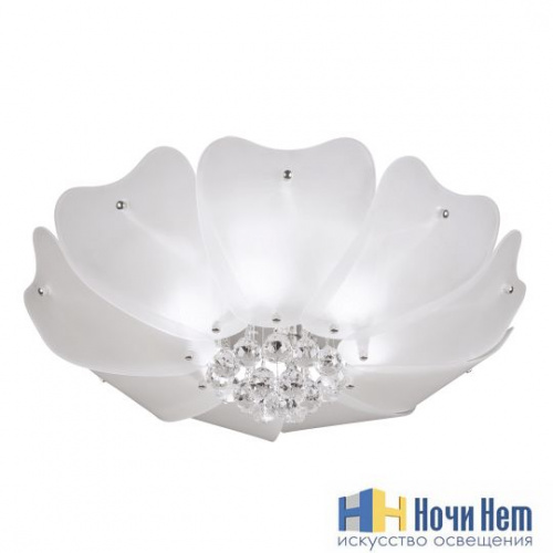 Люстра Lightstar Lobo 804020, раздел каталога Люстры с плафонами интернет-магазина Ночи Нет