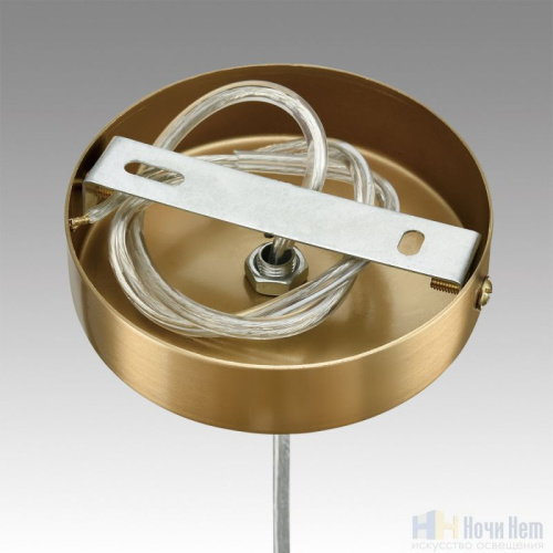 Светильник подвесной Lumion Jane 6593/1, раздел каталога Подвесы 1 лампа интернет-магазина Ночи Нет