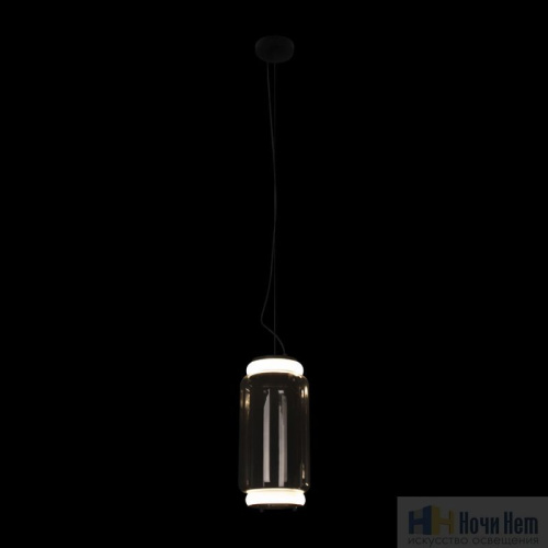 Светильник подвесной Loft IT Noctambule 10194/S, раздел каталога Подвесы 2-3 лампы интернет-магазина Ночи Нет