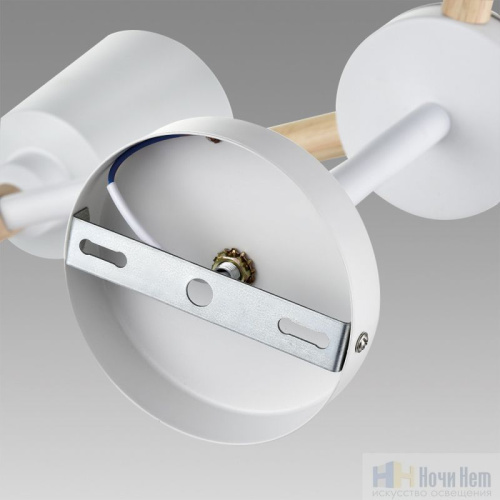 Люстра Lumion Rosalina 8097/3C, раздел каталога Люстры с плафонами интернет-магазина Ночи Нет