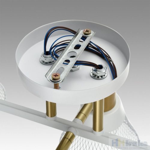 Люстра Lumion Anriya 8045/6C, раздел каталога Люстры с плафонами интернет-магазина Ночи Нет