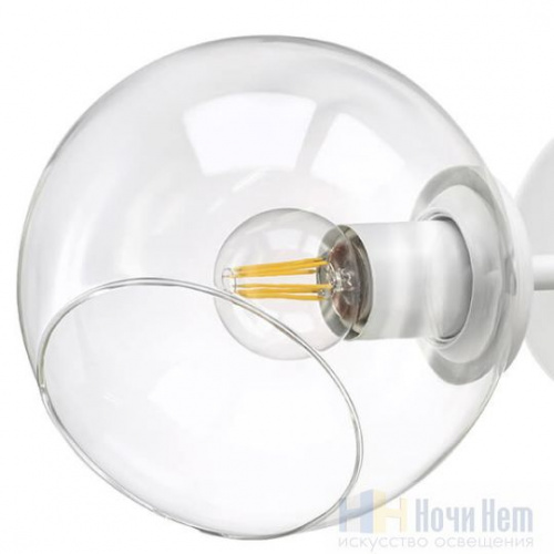 Бра Lightstar Beta 785626, раздел каталога Бра с плафоном интернет-магазина Ночи Нет
