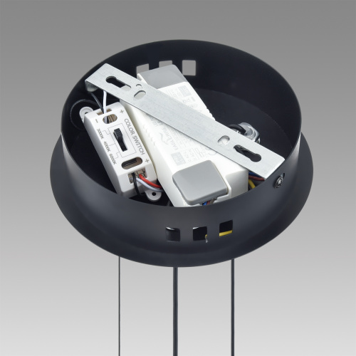 Люстра Lumion Felisiti 8103/38L, раздел каталога Люстры с плафонами интернет-магазина Ночи Нет