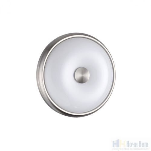 Настенно-потолочный светильник Odeon Light Pelow 4957/2, раздел каталога Настенно-потолочные светильники интернет-магазина Ночи Нет