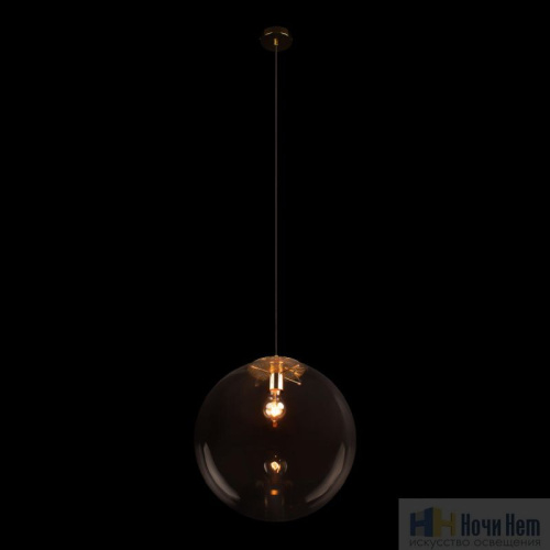 Светильник подвесной LOFT IT Selene 2033-C, раздел каталога Подвесы 1 лампа интернет-магазина Ночи Нет