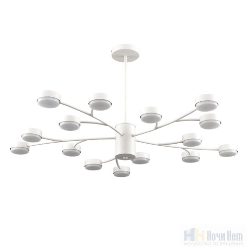 Люстра Lumion Torina 8265/15, раздел каталога Люстры с плафонами интернет-магазина Ночи Нет