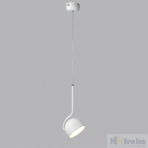 Светильник подвесной Lumion Arlo 6501/10L, раздел каталога Подвесы 1 лампа интернет-магазина Ночи Нет